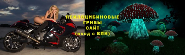 apvp Алексин