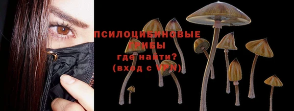 apvp Алексин