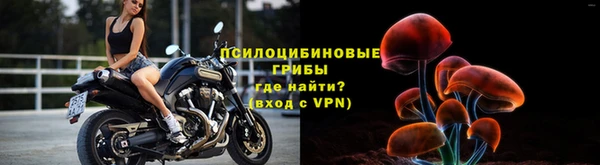 apvp Алексин