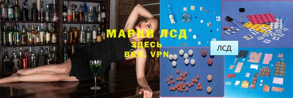 apvp Алексин