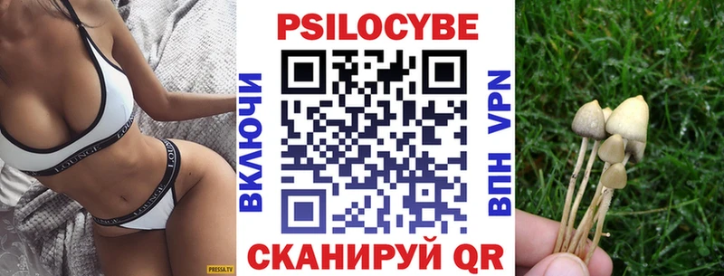 Псилоцибиновые грибы Cubensis  darknet официальный сайт  Чадан 